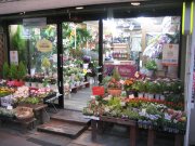「フローリストタケサト」　（埼玉県春日部市）の花屋店舗写真1