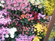 「フローリストタケサト」　（埼玉県春日部市）の花屋店舗写真2